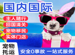 张家界荷花机场空运国际宠物托运 【国